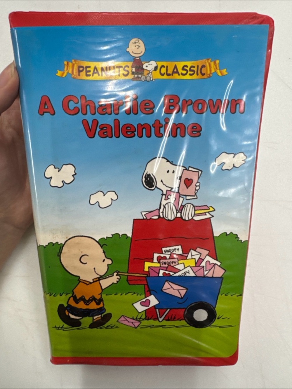 A Charlie Brown Valentine (VHS, 2004, Clamshell)